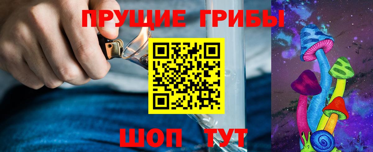 Галлюциногенные грибы Cubensis Буйнакск